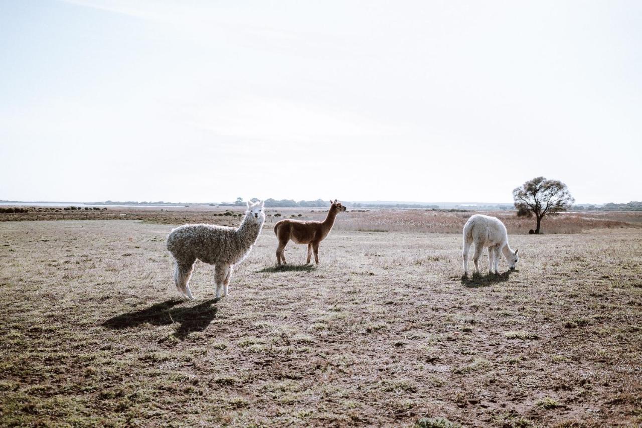 Coorong Island Retreat - Farm Stay At Pet Friendly Property Meningie Dış mekan fotoğraf