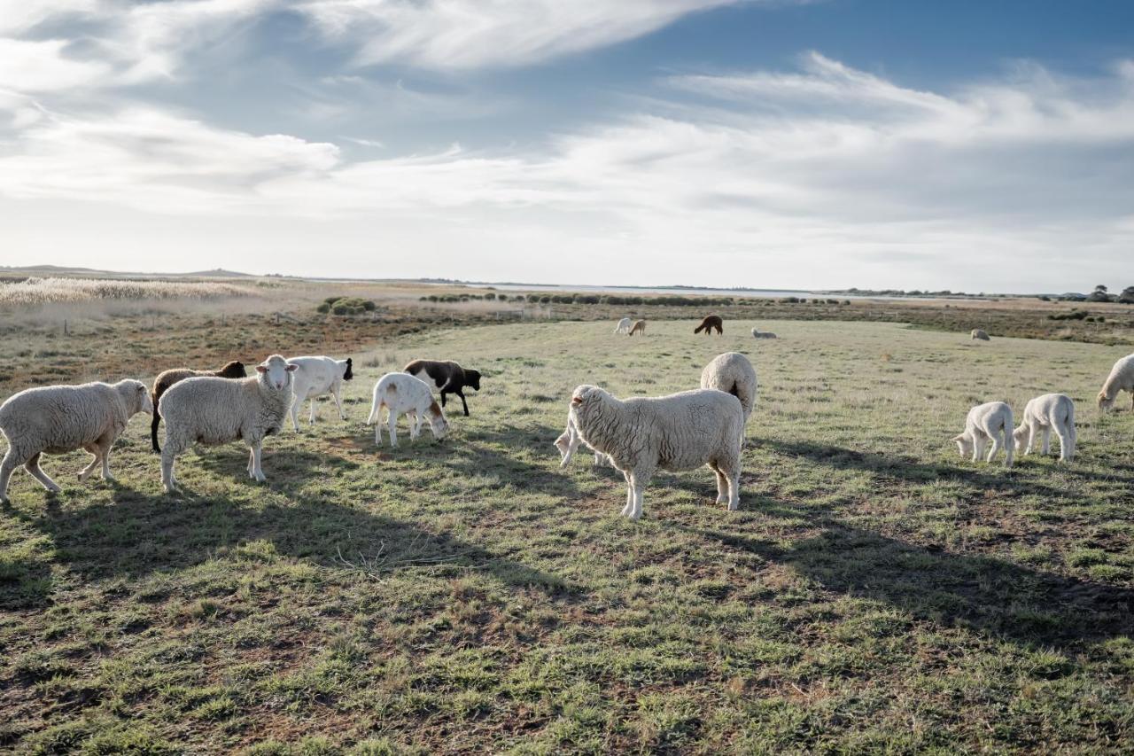 Coorong Island Retreat - Farm Stay At Pet Friendly Property Meningie Dış mekan fotoğraf